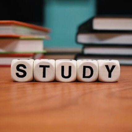 argentina student visa