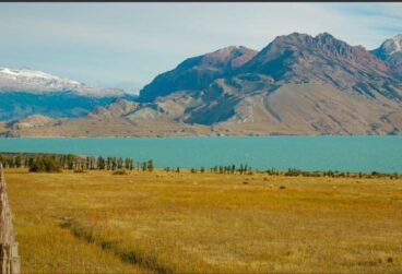 WhatsApp Image 2025-10-08 at 05.45.25