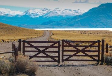 WhatsApp Image 2025-10-08 at 05.45.30 (1)