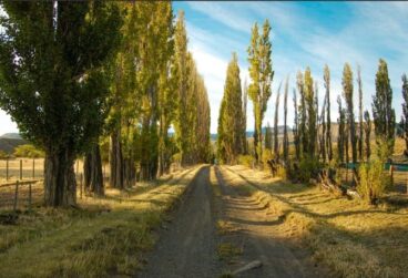 WhatsApp Image 2025-10-08 at 05.45.31 (1)