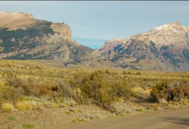 WhatsApp Image 2025-10-08 at 05.45.31 (2)