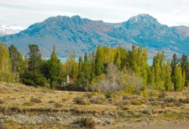 WhatsApp Image 2025-10-08 at 05.45.32