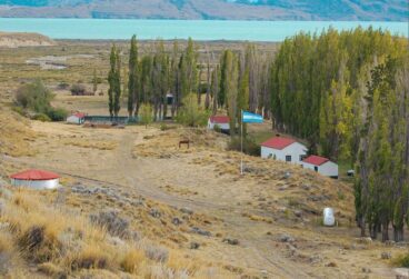 WhatsApp Image 2025-10-08 at 05.45.33 (1)