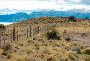 WhatsApp Image 2025-10-08 at 05.45.34 (3)