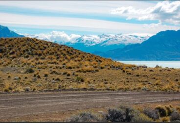 WhatsApp Image 2025-10-08 at 05.45.34