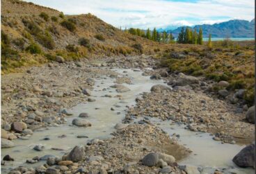 WhatsApp Image 2025-10-08 at 05.45.35 (1)