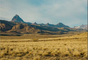 WhatsApp Image 2025-10-08 at 05.45.35 (2)