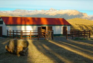 WhatsApp Image 2025-10-08 at 05.45.35