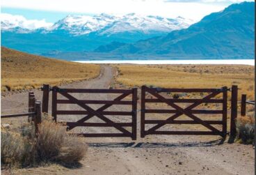 WhatsApp Image 2025-10-08 at 05.45.36 (1)