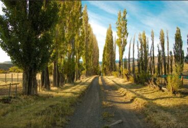 WhatsApp Image 2025-10-08 at 05.45.37 (1)