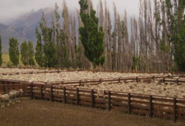 WhatsApp Image 2025-10-08 at 05.45.37