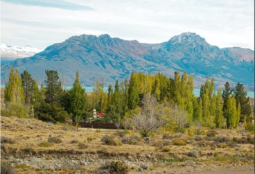 WhatsApp Image 2025-10-08 at 05.45.38 (1)